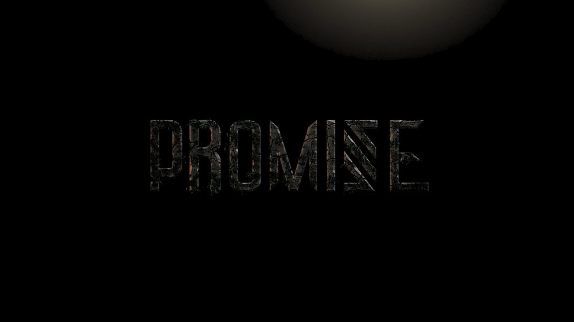 an image of the word promise on a black background